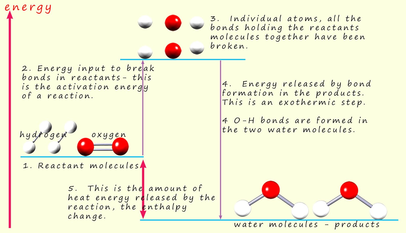 Energy profile diagram for water formation showing all the bonds formed and broken during the reaction.